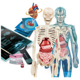 Clementoni Super Anatomy Kit, UK version
