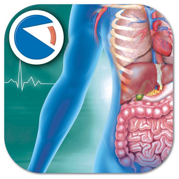 Clementoni Super Anatomy Kit, UK version