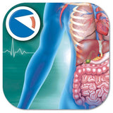 Clementoni Super Anatomy Kit, UK version