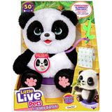 Little Live Pets My Baby Panda ChuChu interactive toy, UK version