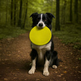 Nike Grind Max Frisbee large dog toy yellow (British brand)