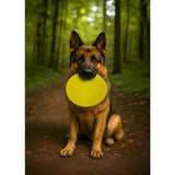 Nike Grind Max Frisbee large dog toy yellow (British brand)