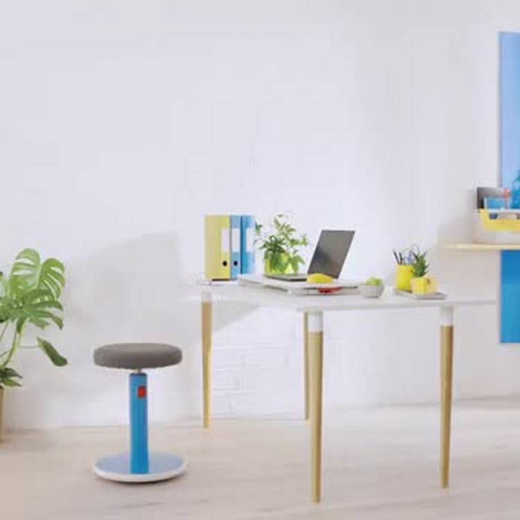 Leitz Ergo Cosy Active Sit Stand Stool, imported from the UK