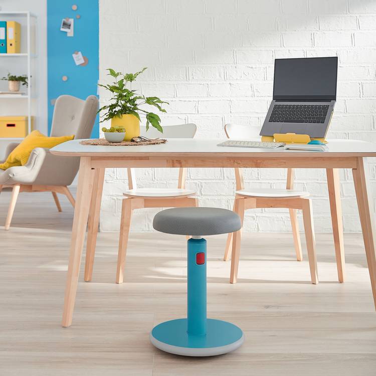 Leitz Ergo Cosy Active Sit Stand Stool, imported from the UK