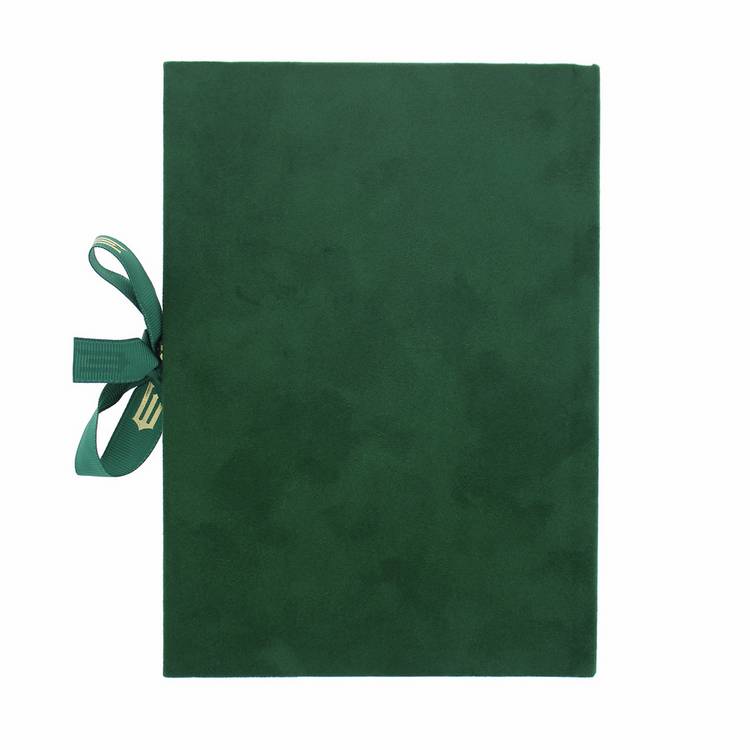 Wicked Defy Gravity velvet green notebook A5, UK version