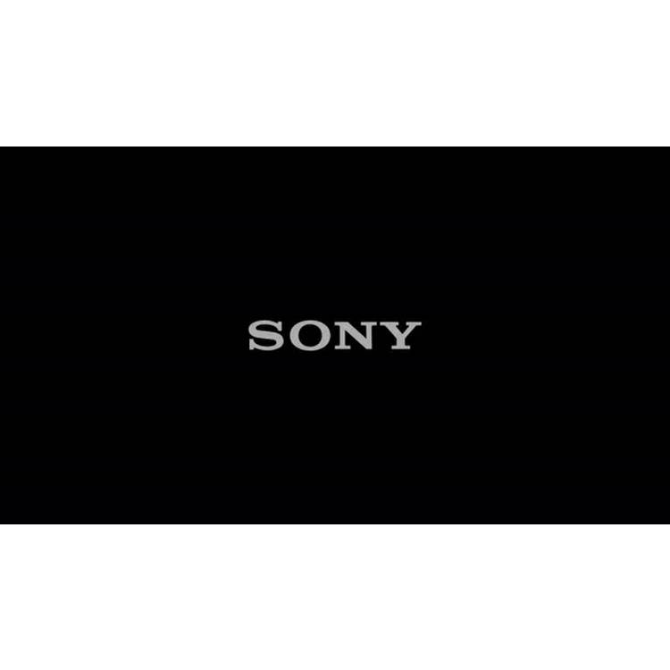 Sony Ult Tower 9 party speaker black, imported from the UK