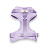 Argos Cocopup NAKD Parma Violets Dog Harness Extra Small- Buy online at McGrocer