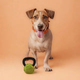 Nike Grind kettle bell dog toy green small, imported from the UK