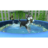 Little Friends Puppy Island Nintendo Switch game (British brand)