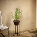 Argos Argos Home Metal Black Planter - Small- Buy online at McGrocer
