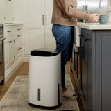 Meaco Arete Two 20L dehumidifier - British product