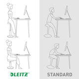 Leitz Ergo Cosy Stool 2-in-1 sit stand stool - British product