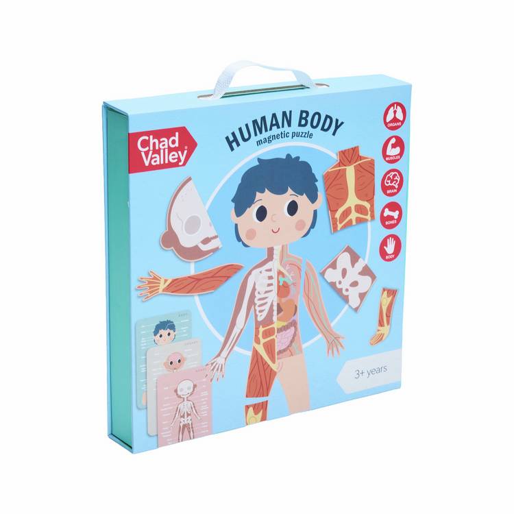 Chad Valley Human Body Magnetic Jigsaw (British brand)