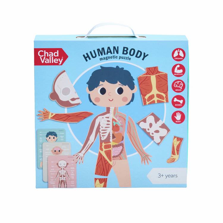 Chad Valley Human Body Magnetic Jigsaw (British brand)