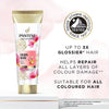 Pantene Pro-V Miracles Colour Gloss Conditioner 275ml, imported from the UK