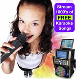 Easy Karaoke EKS300 ultimate Bluetooth karaoke machine - British product