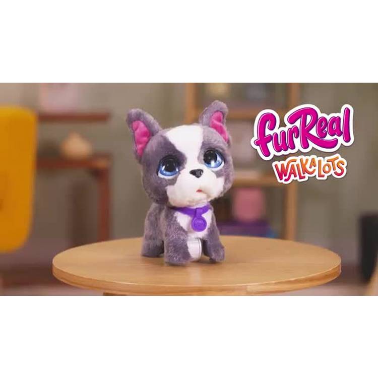 furReal Walk A Lots Frenchie interactive soft toy 8 inch, UK version