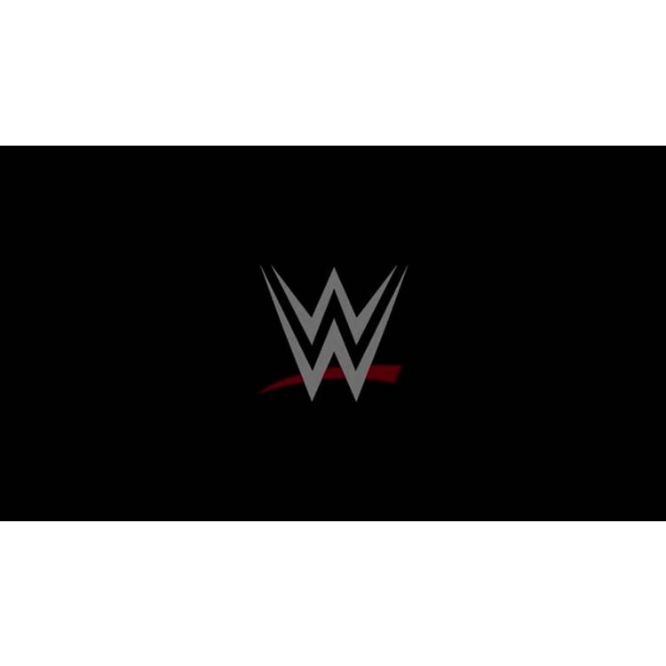 WWE Money In The Bank Cash-In Ring playset, imported from the UK