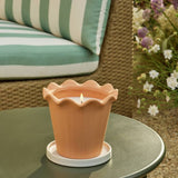 Argos Argos Home Scalloped Terracotta-Effect Citronella Candle 15cm- Buy online at McGrocer