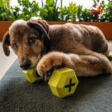 Nike Max Fusion large dog toy dumbbell yellow - British product