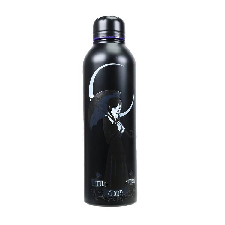 Wednesday stainless steel water bottle 700ml (British brand)