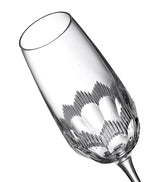 Harrods Set of 4 Mixology Circon Champagne Glasses 335ml- Buy online at McGrocer