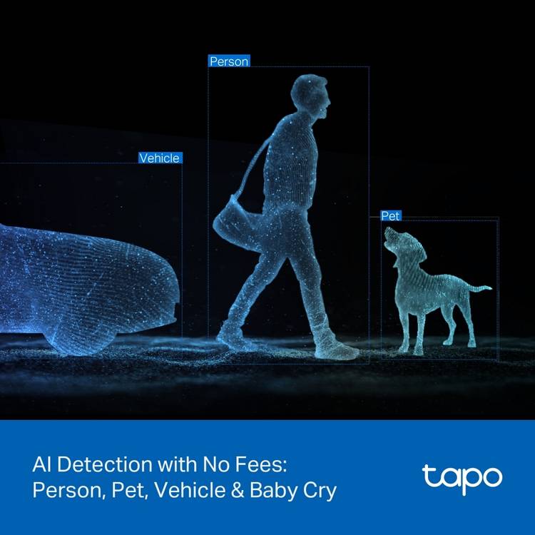 Tapo C246D dual-lens pan/tilt security camera, UK version