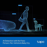 Tapo C246D dual-lens pan/tilt security camera, UK version