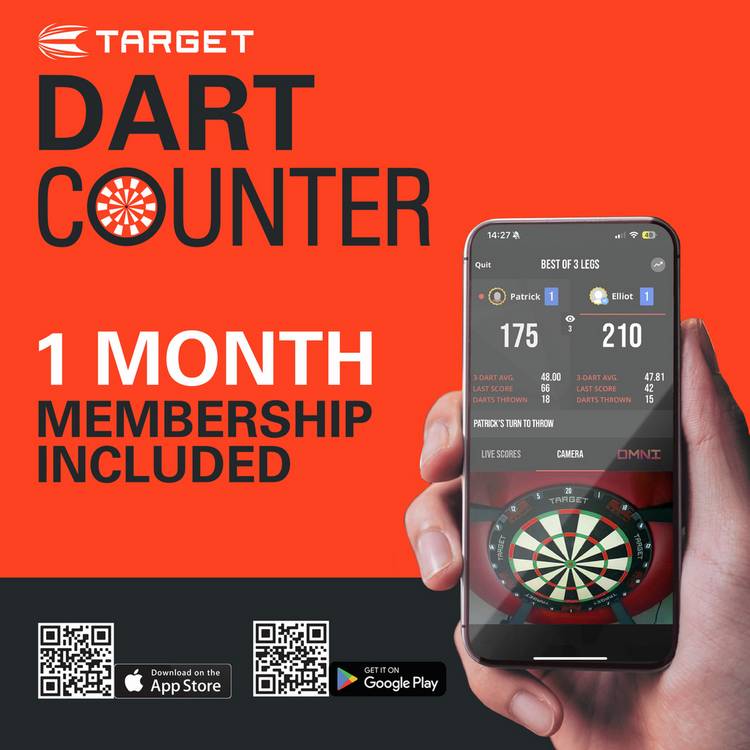 Target Summit all-in-one cabinet dartboard set (British brand)