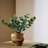 Argos Argos Home Artificial Green Eucalyptus Stem 3 Pack 76cm- Buy online at McGrocer