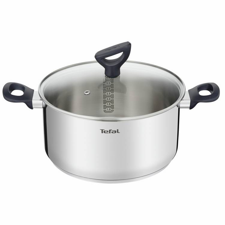 Tefal 24cm stainless steel stew pot (British brand)