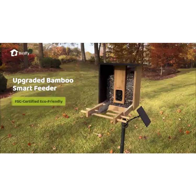 Birdfy Smart Bird Feeder Solar Powered with Camera, imported from the UK
