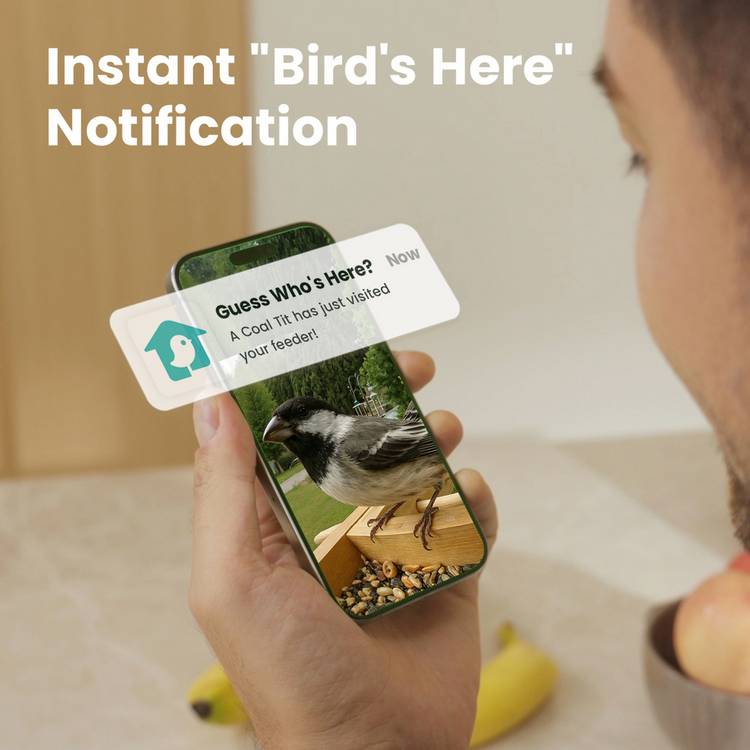 Birdfy Smart Bird Feeder Solar Powered with Camera, imported from the UK