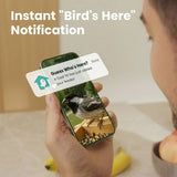 Birdfy Smart Bird Feeder Solar Powered with Camera, imported from the UK