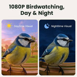 Birdfy Smart Bird Feeder Solar Powered with Camera, imported from the UK