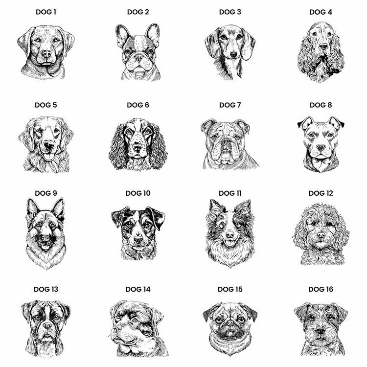 Personalised dog breed cushion with dog's name 38cm, imported from the UK