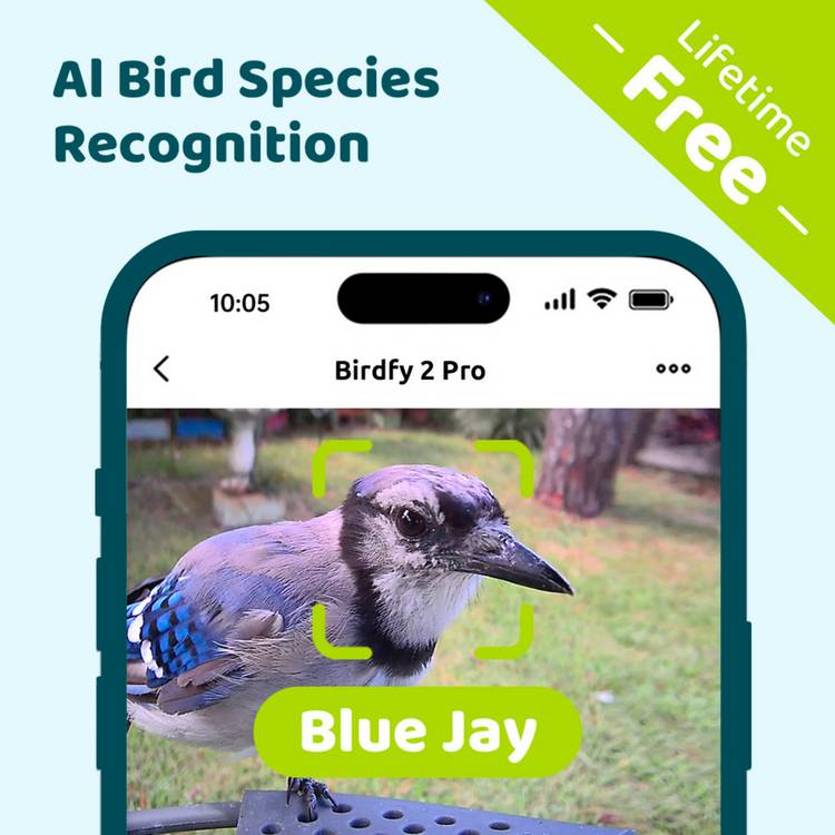 Birdfy Pro 2 solar-powered smart bird feeder with camera - British product