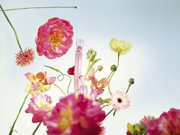 Kenzo Poppy Bouquet Eau de Toilette 30ml, imported from the UK