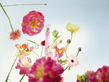 Kenzo Poppy Bouquet Eau de Toilette 30ml, imported from the UK