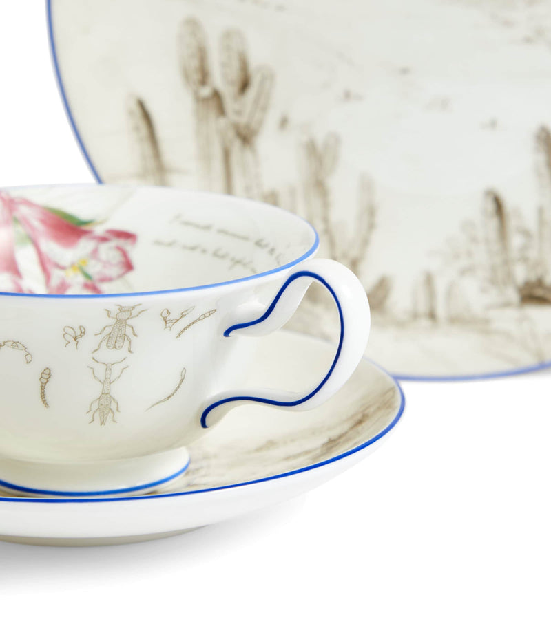 Wedgwood Voyage of the Beagle Chile bone china tea set (British brand)