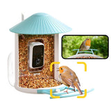 Argos Birdfy AI Bird Feeder Solar Powered with Camera Smart Bird Feeder- Buy online at McGrocer