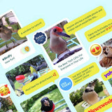 Birdfy smart bird feeder with camera and solar panel - British product