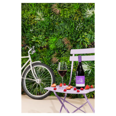 Cono Sur red wine Pinot Noir 75cl - British product