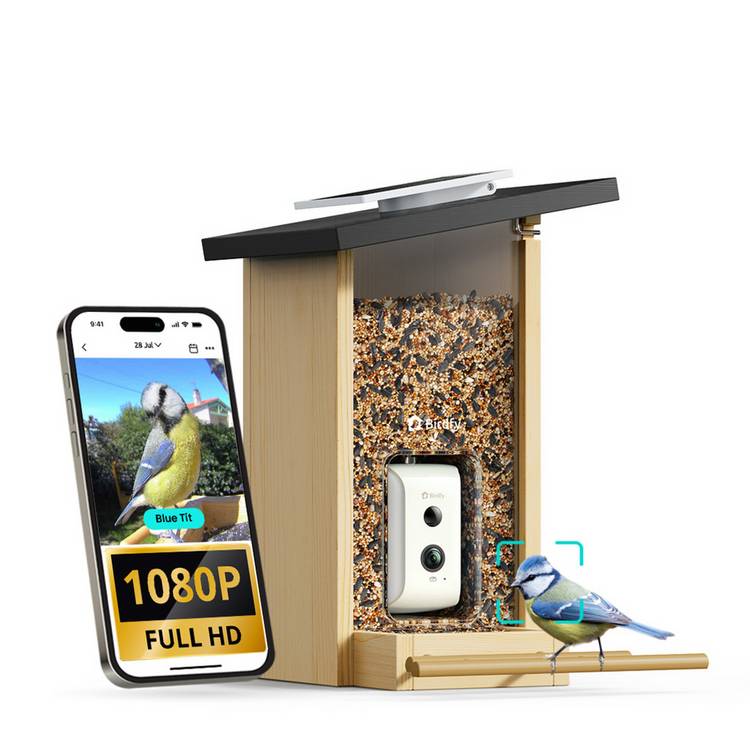 Birdfy Ebony Lite bird feeder with solar panel, imported from the UK