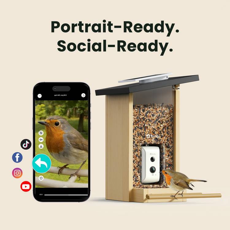 Birdfy Ebony Lite bird feeder with solar panel, imported from the UK