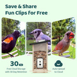 Birdfy Ebony Lite bird feeder with solar panel, imported from the UK