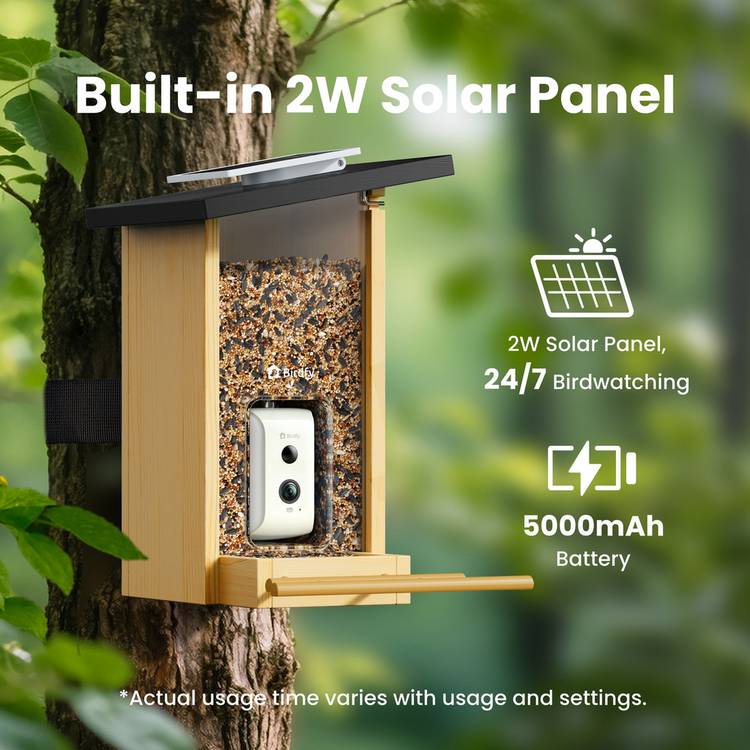Birdfy Ebony Lite bird feeder with solar panel, imported from the UK
