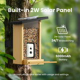 Birdfy Ebony Lite bird feeder with solar panel, imported from the UK