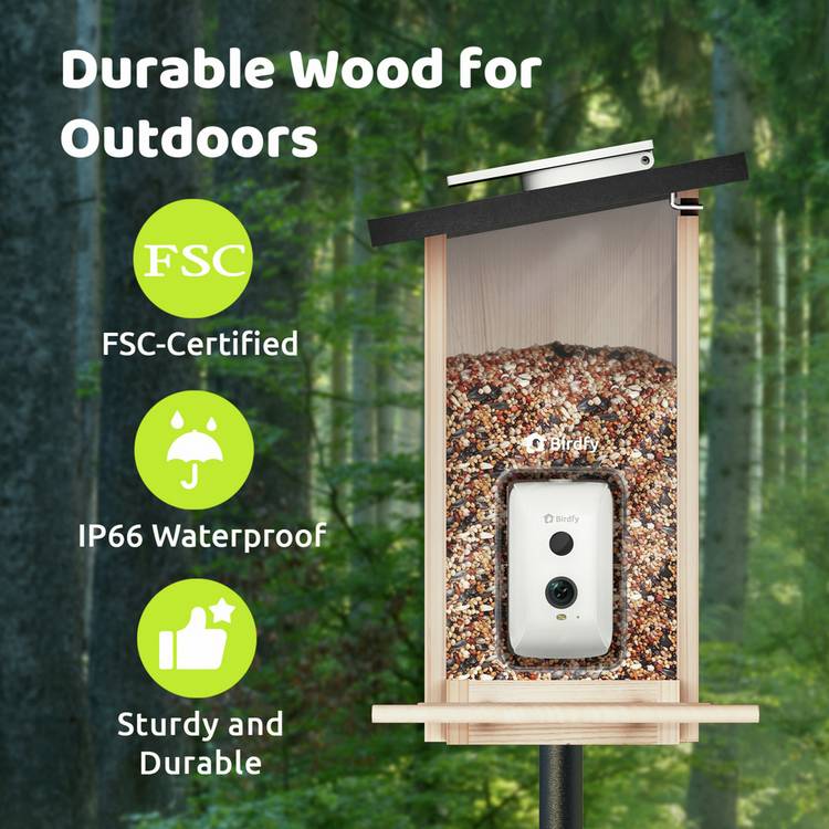 Birdfy Ebony Lite bird feeder with solar panel, imported from the UK