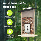 Birdfy Ebony Lite bird feeder with solar panel, imported from the UK